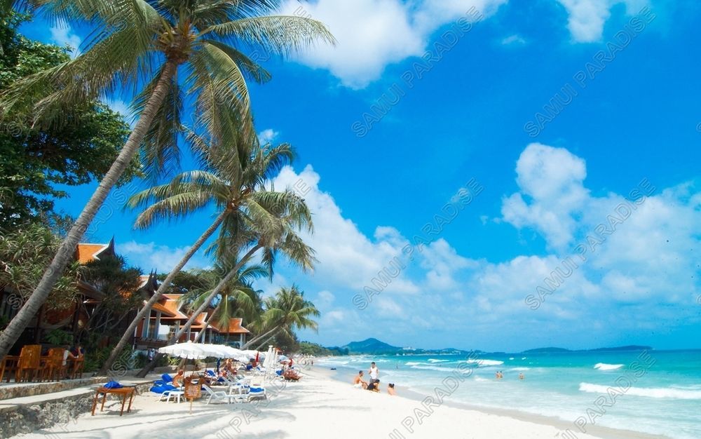 Samui Paradise Chaweng Beach Resort Luaran gambar